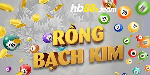 Định nghĩa về thuật ngữ rồng bạch kim