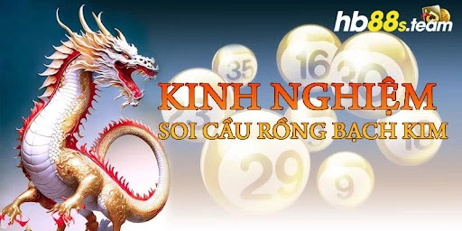 kinh nghiệm soi cầu rồng bạch kim hb88