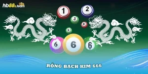 rồng bạch kim 666 hb88