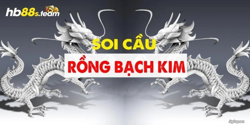 rồng bạch kim hb88