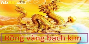 rồng vàng bạch kim