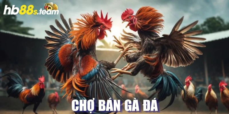 chợ bán gà đá