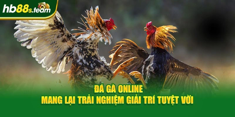 Đá gà online mang lại trải nghiệm giải trí tuyệt vời