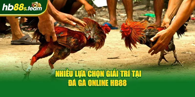 Nhiều lựa chọn giải trí tại đá gà online HB88