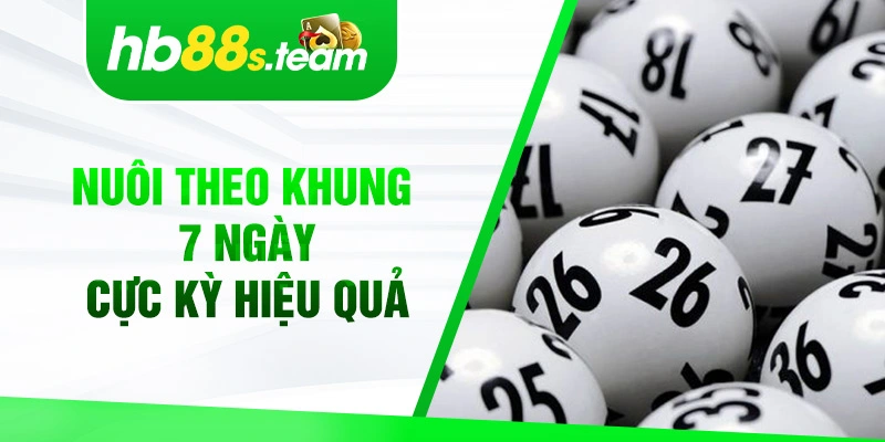 Nuôi theo khung 7 ngày cực kỳ hiệu quả