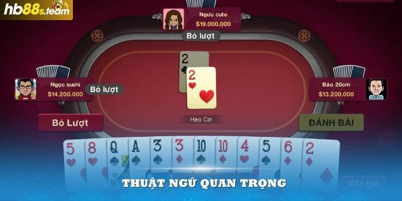 Nắm vững các thuật ngữ trong game bài này sẽ giúp bạn tới gần chiến thắng hơn